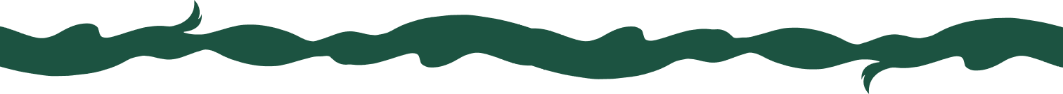 Forest green organic divider